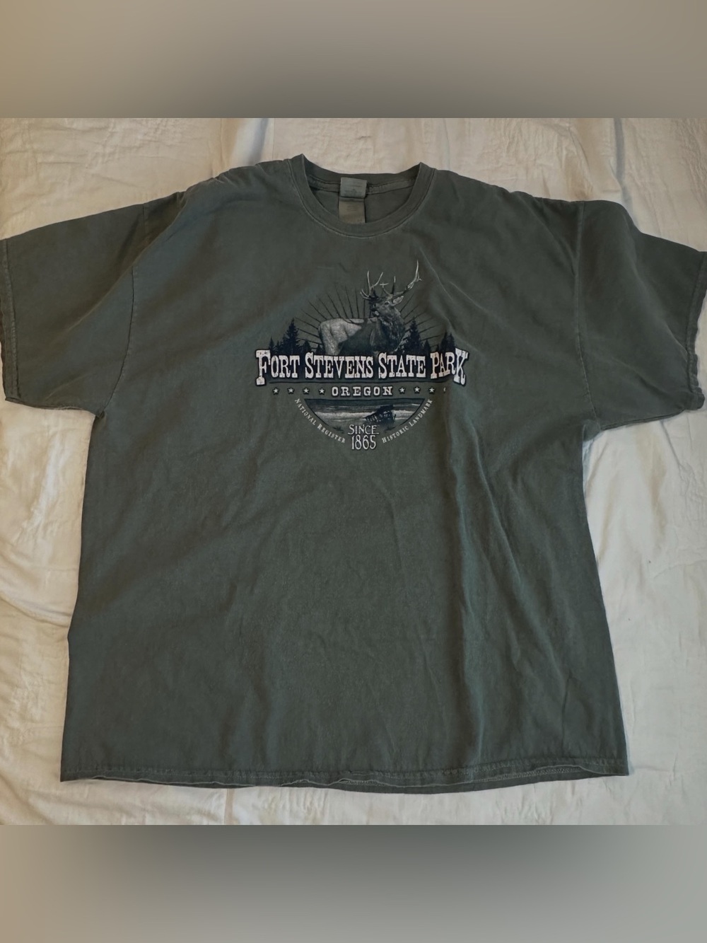 Gildan Fort Stevens State Park Graphic Tee - Dark Green